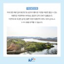 자연의하모니 이미지
