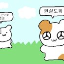 찬미수선 이미지
