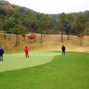 코스카cc 이미지