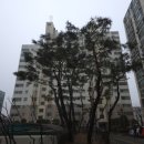 대림아파트(1차) | 고양시도배 덕양구 토당동 능곡 대림1차 도배장판 시공후기