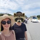 중부-현장-중부-767 | 沖縄2일차 1. 리잔 시파크 호텔 탄차 베이 호텔 조식/오키나와 북부명소 추라우미수족관/돌고래쇼(해양...