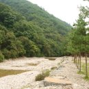 도원패밀리캠핑장 이미지