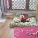 부흥미용실 이미지