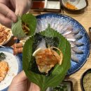 해찬미소 | 제주여행 협재 고등어회 맛집, 내돈내산 바다해찬 찐후기
