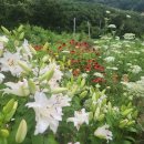 산정농장 이미지