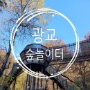 영통중앙공원 | [숲놀이터] 광교중앙공원 유아숲체험원 방문 후기