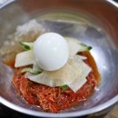 제주도세기 이미지