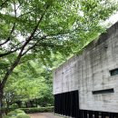 산동목장 이미지