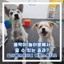 멍 핏 스튜디오 이미지
