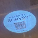 짝호텔 | 코트야드 메리어트 판교 호텔뷔페 모모카페 디너 예약 방문 후기