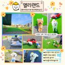 멜리애견유치원 이미지
