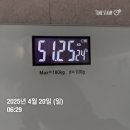 [도림동 pt/도림동 짐야드 헬스장] 직장인 바디프로필 후기(다이어트 13kg감량/식단/운동/정체기 등등)