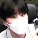 레몬케이스
