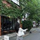 PWC DETACHABLE WRAP SKIRT HAREM MIDI PANTS하렘팬츠 후기 코디