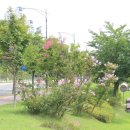 양덕 물빛공원 이미지