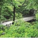 힐링치과의원 이미지