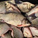 성호낚시터 이미지