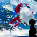 아쿠아플라넷63 이미지