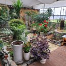 수영장펜션 이미지