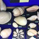 울산해양박물관 이미지