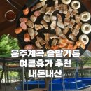솔밭가든 | [운주계곡 솔밭가든] 평상 대여 후기🩵 버너, 불판, 튜브대여 정보 아쉬웠던 점 포함