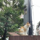 아자…아자…