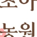 초아농원 이미지