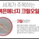 오일스튜디오 이미지