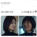 11월 일단살아있음