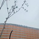 레이크타워 | 인천 영종도 인스파이어 리조트 포레스트 타워 레이크 디럭스킹 후기