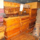 계상농장 이미지