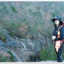 태기농원 이미지