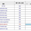 24시 모란동물 메디컬센터 이미지
