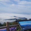 복드림공인중개사사무소 이미지