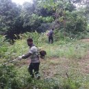 김영남스튜디오 이미지