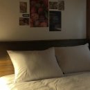 홍스테이 이미지