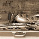 REBORN DOG 이미지