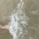 (주)리얼사인 이미지