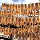 삼천포 용궁수산시장#9 이미지