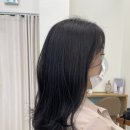 보니따라움 이미지
