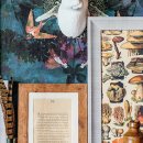 COTTAGE451 National Geographic