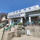 원조중앙탑막국수 네이버블로그