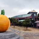 감귤박물관 이미지