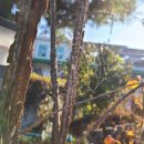 신미주2관어린이집 이미지