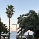 제주도 게스트하우스 파티 빅썸 이미지