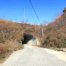 돌고개주유소 이미지