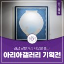 아리아 Ⅰ 이미지