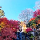 화담갤러리 | 가을이 가기전 다녀온 단풍명소 화담숲 후기