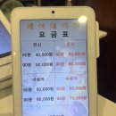 동심동물병원 | 연동에서 찾은 4만원의 행복! 몸살 기운 싹 잊게 해준 케이테라피 솔직 후기