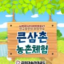 송라태권도 네이버블로그